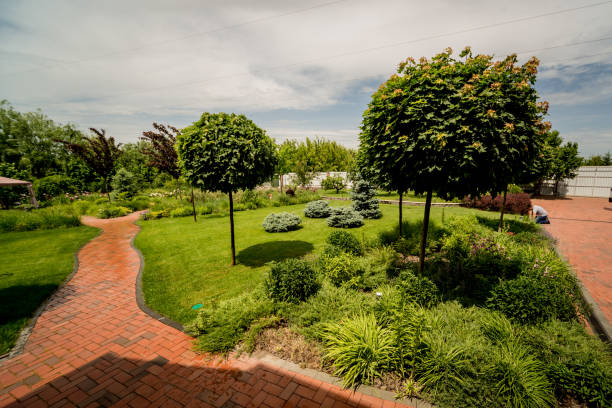 istock Beautiful garden landscape design. Summer day background 1254748906