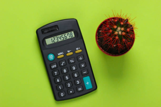 istock Calculator with cactus in pot on green background. Minimalism 1254749196