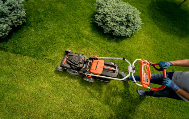 istock Gardener mowing the lawn. Landscape design. Green grass background 1254749310