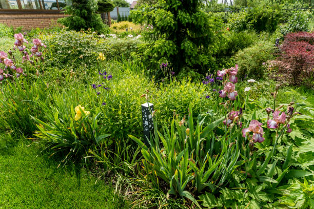 istock Beautiful garden landscape design. Summer day background 1254749455