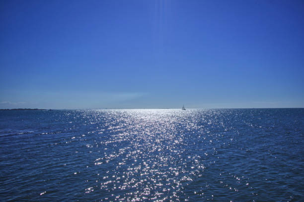 istock Shoreline in the Brisbane Coast 1254752678