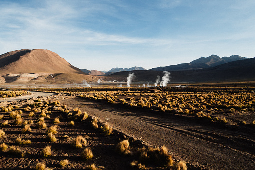 Water vapor (steam) rises from the ground at sunrise in El Tatio geyser field in northern Chile/ Beautiful view of geysers at the sunrise