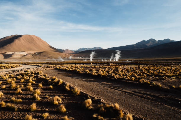 гейзерное месторождение эль татио на севере чили - geyser nature south america scenics стоковые фото и изображения