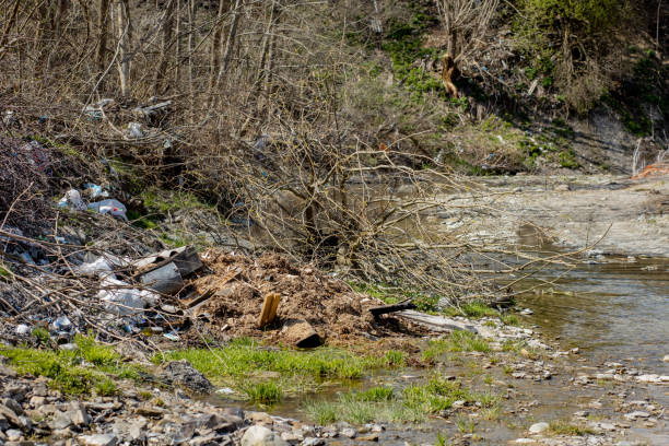 istock A beautiful small stream is littered with a bunch of garbage, empty bottles, cellophane bags, plastic cans 1254752870