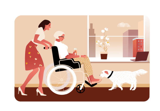 Side view vector illustration, flat cartoon style. Disabled or temporary disabled stylish senior woman at home sitting in wheelchair. Granddaughter helps. Female character. Side view vector illustration in flat cartoon style. insurance pets dog doctor stock illustrations