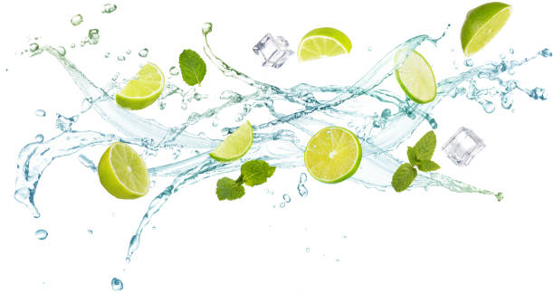 istock citrus fruit and mint leaves in flying splashes 1254755969