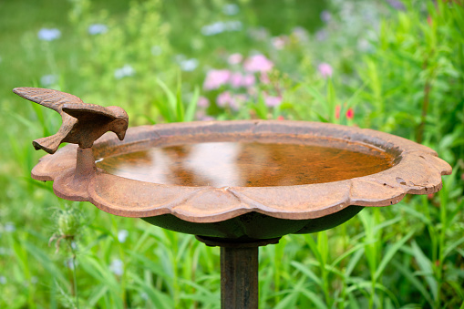 Old drinking fountain called nasone.