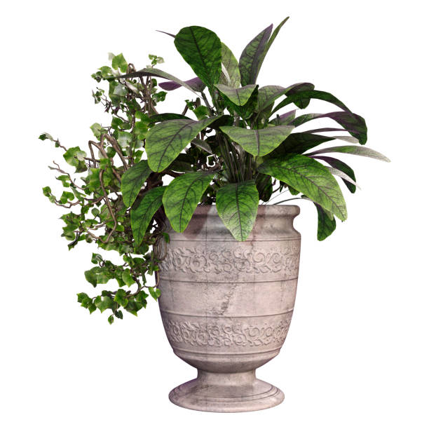 3D rendering of an outdoor planter isolated on white background