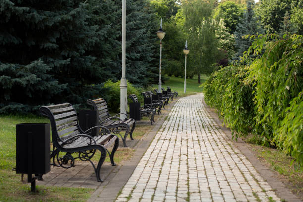 istock wooden bench in the summer park 1254760147