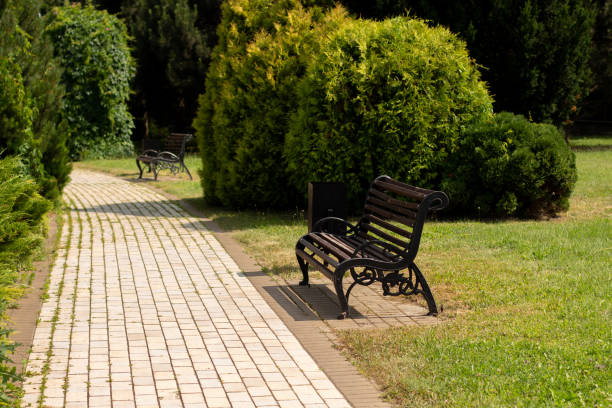 istock wooden bench in the summer park 1254761043