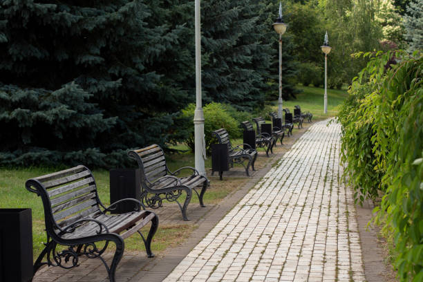 istock wooden bench in the summer park 1254761098