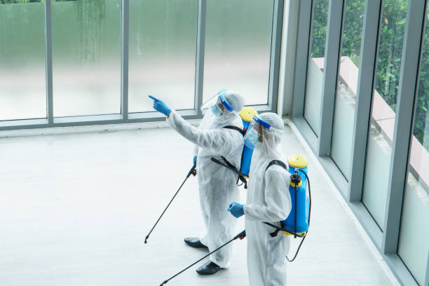 Professional worker disinfection Professional  male worker In protective clothing and masks are spraying disinfectants, cleaning, controlling virus and bacteria in the contaminated area After the spread of coronavirus or COVID-19 biohazard cleanup stock pictures, royalty-free photos & images