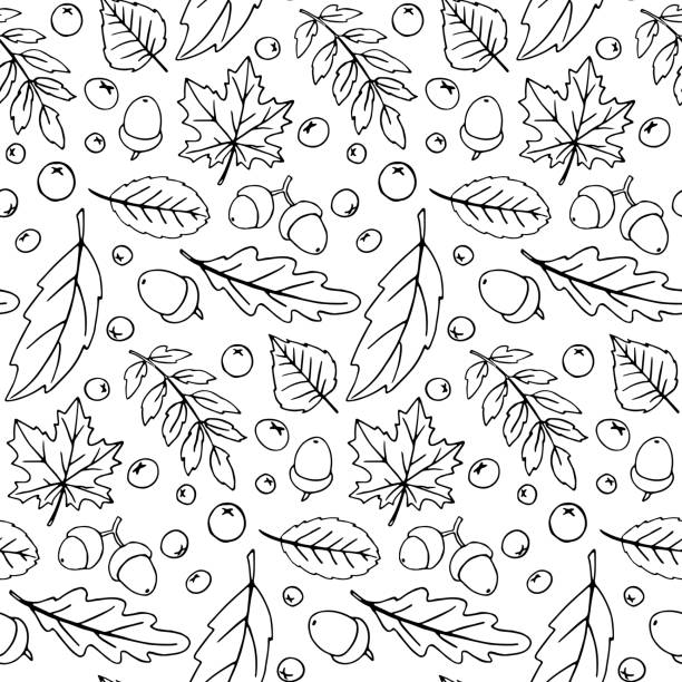 bildbanksillustrationer, clip art samt tecknat material och ikoner med sömlösa mönster fallande löv, ekollon, bär. vektor höst textur isolerad på vit bakgrund, handritad i skiss stil, svart kontur. begreppet skog, löv falla, natur, tacksägelse - autumn leaves