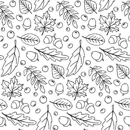 Seamless pattern falling leaves, acorns, berries. Vector autumn texture isolated on white background, hand drawn in sketch style, black outline. Concept of forest, leaf fall, nature, thanksgiving.