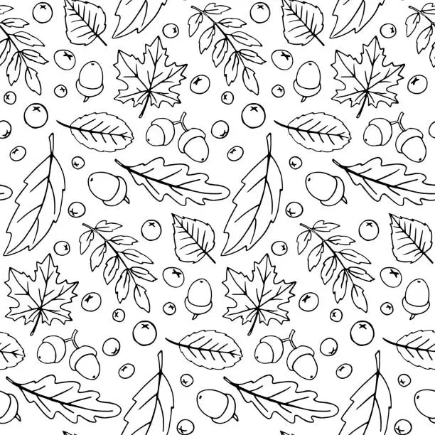 Vector illustration of Seamless pattern falling leaves, acorns, berries. Vector autumn texture isolated on white background, hand drawn in sketch style, black outline. Concept of forest, leaf fall, nature, thanksgiving