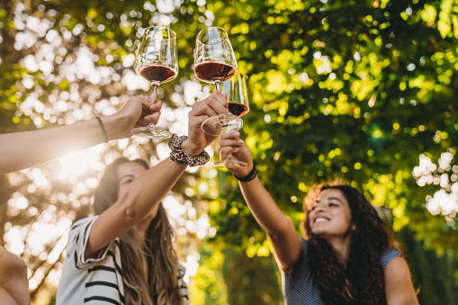 Three friends are toasting with a glass of red wine. They are celebrating together.