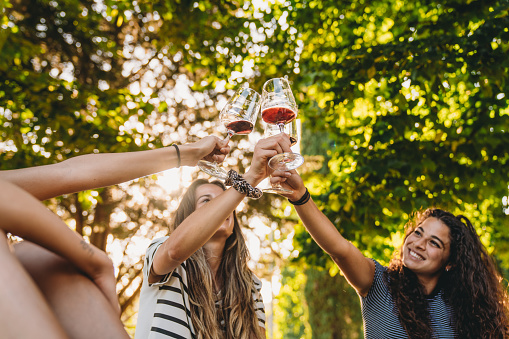 Three friends are toasting with a glass of red wine. They are celebrating together.