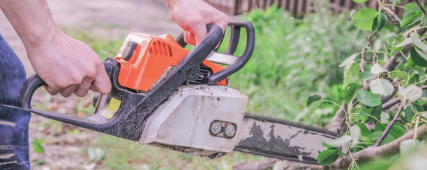 istock A man with a chainsaw sawing a tree fallen after a hurricane 1254765893