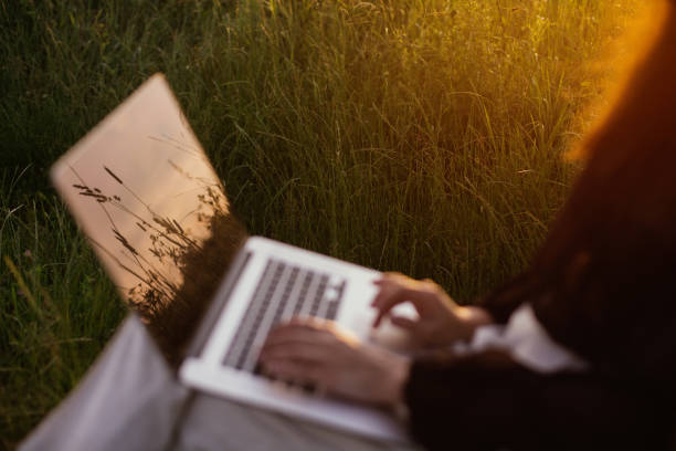 herbs and wildflowers in sunset light reflecting on laptop screen. freelance and remote work outdoors. fashionable girl with hands on keyboard working in sunny summer field. creative image - child office chaos computer monitor imagens e fotografias de stock