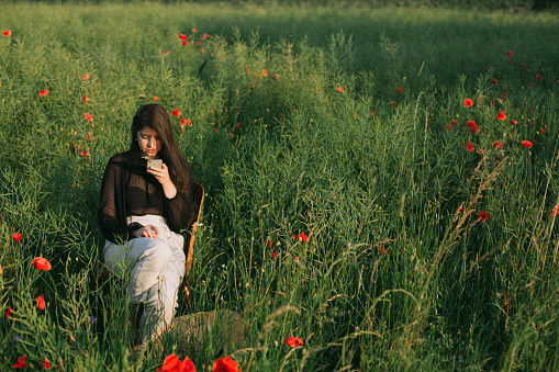 Stylish elegant girl chatting online, holding phone and sitting in summer meadow in warm sunset light. Fashionable young woman using smartphone making photos