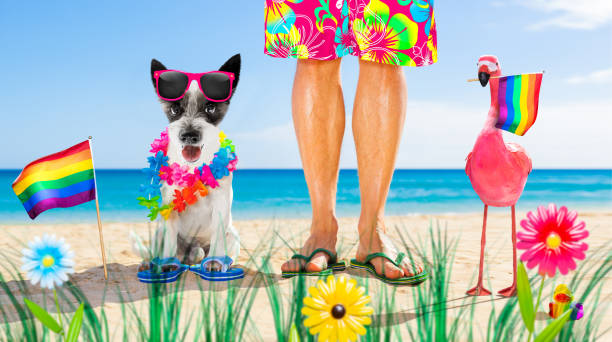 istock dog and owner  summer holidays 1254771208