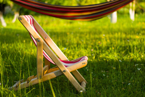 istock Yard chair on the grass and hammock, summer holiday background. Copy paste space. Sunlight and shadows. 1254771489