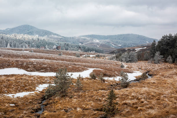 istock Mountain clearing in wintertime with small stream 1254771810