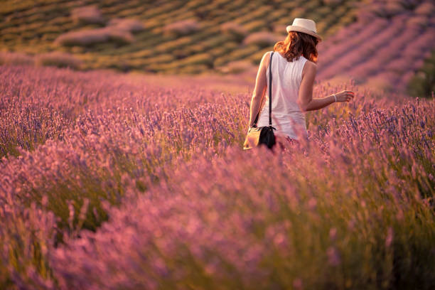 istock Woman walking through lavender field 1254772579