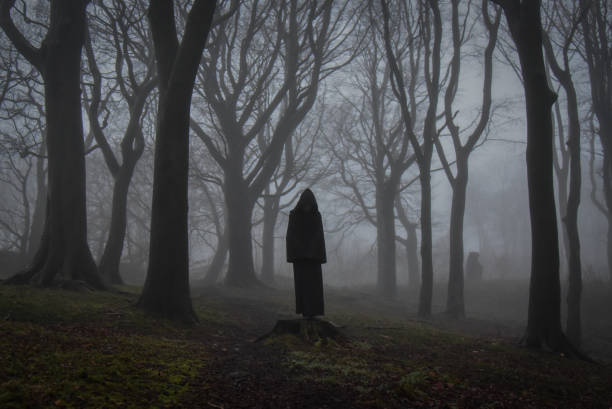 Spooky in the woods