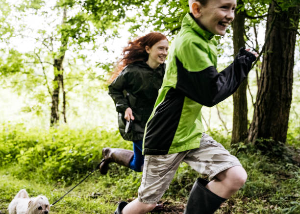 istock Active young sister and brother running with dog in forest 1254777970