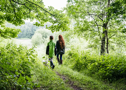Full length rear view of Caucasian siblings aged 12 and 15 walking dog on woodland trail in late spring.