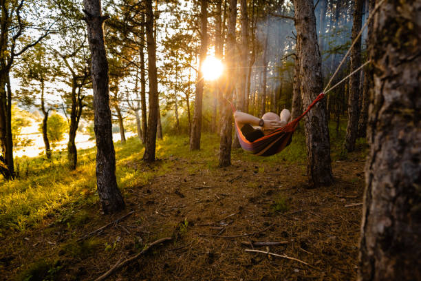 istock Man with hands behind head lying and relaxing in hammock while enjoying the sunset in forest 1254780505