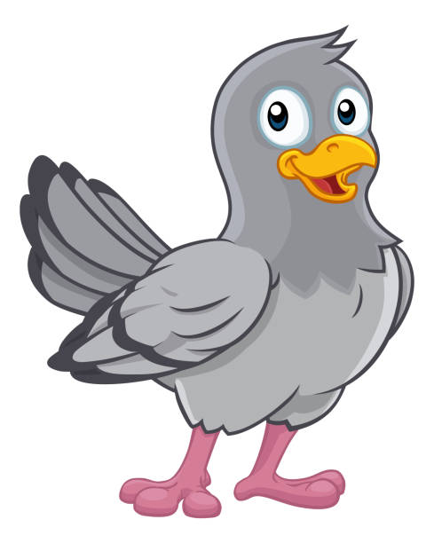 Carrier Pigeon Cartoon Illustrations, Royalty-Free Vector Graphics & Clip  Art - iStock