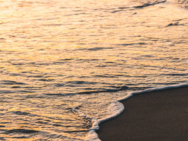 istock Waves lapping the shore at sunrise, golden reflections on sand and water 1254784092