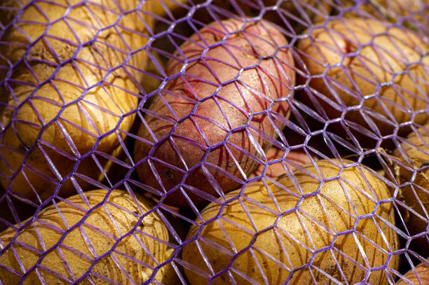 verduras de raíz de papa se encuentran en una rejilla al aire libre. - red potato raw potato market red fotografías e imágenes de stock