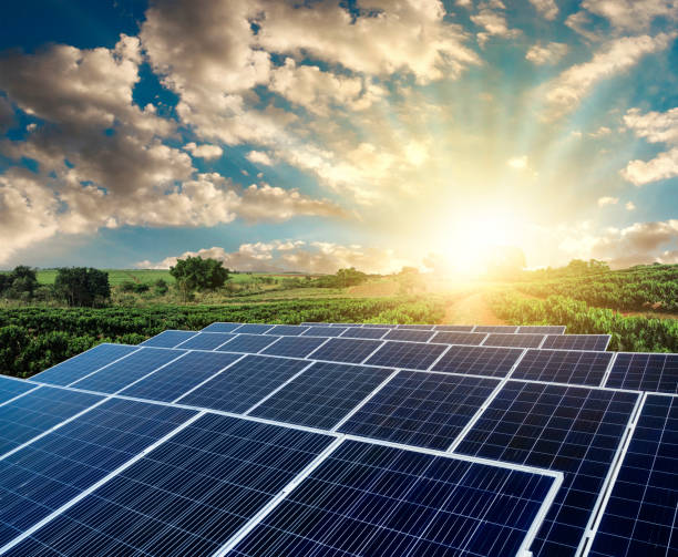 istock Sunset over Solar energy Farm plant 1254785153