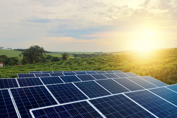 istock Sunset over Solar energy Farm plant 1254785160