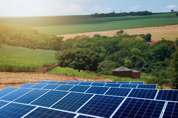 istock Sunset over Solar energy Farm plant 1254785168