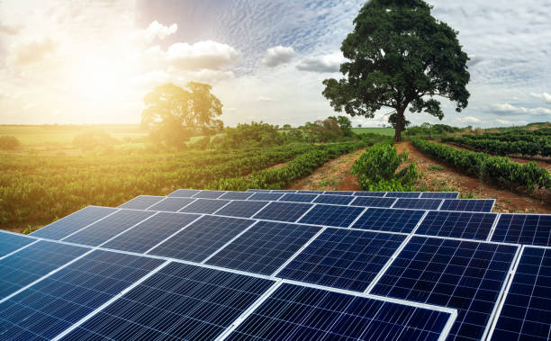 istock Sunset over Solar energy Farm plant 1254785172