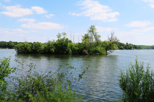 istock lush tree island lake sunny blue sky 1254790492