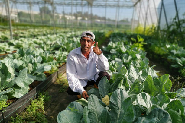 istock Portrait - Real Farmers 1254791509