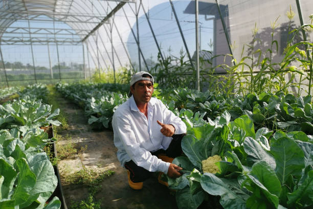 istock Portrait - Real Farmers 1254791530