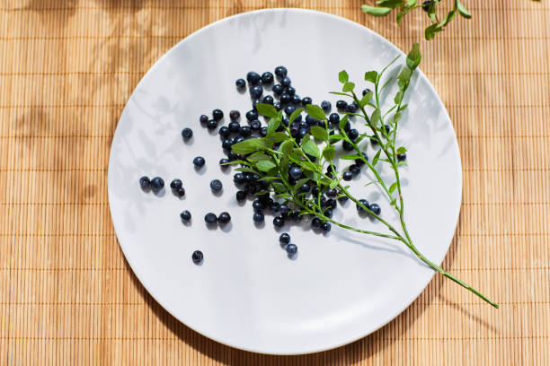 Twig of fresh blueberries on a white plate in natural lights. Top view