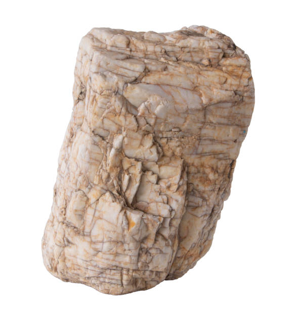 istock A large single piece of quartz slightly turned by river water isolated on a white background. 1254795767
