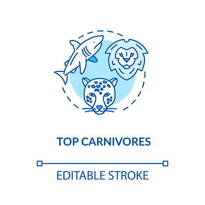 Top carnivores concept icon. Wild animals. Food chain apex predators. Marine and land fauna idea thin line illustration. Vector isolated outline RGB color drawing. Editable stroke