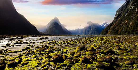 La naturaleza en mitra pico en Milford sonido-Nueva Zelanda photo