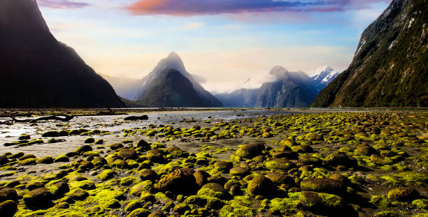 la naturaleza en mitra pico en milford sonido-nueva zelanda - new zealand fotos fotografías e imágenes de stock