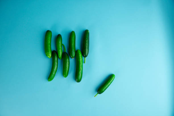 Fresh Organic Cucumbers isolated on blue background, clipping path, full depth of field