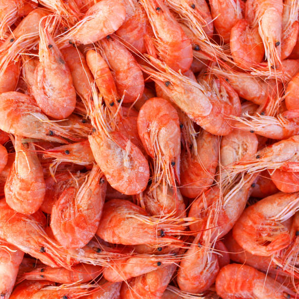 istock Background a lot of shrimp. Top view. 1254802999