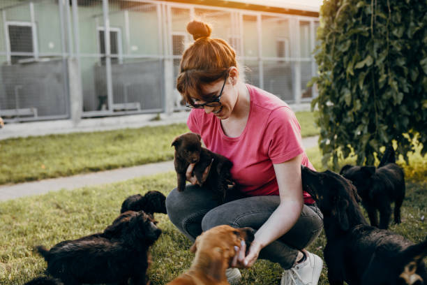 istock Young woman in animal shelter 1254804859